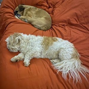 Meet your Posher, Georgia